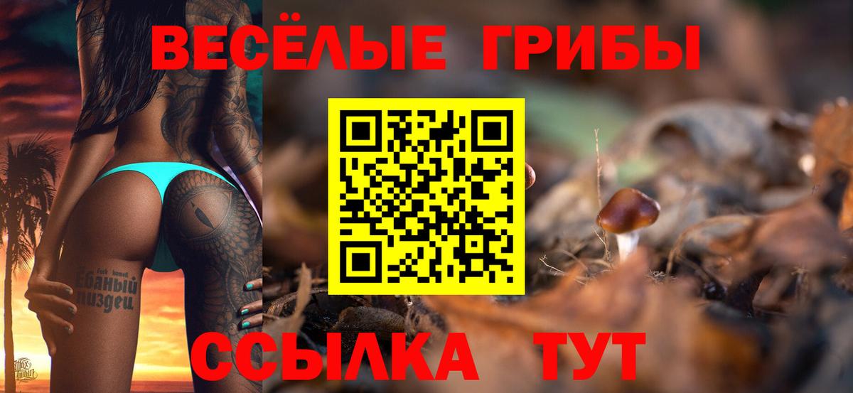 дарнет шоп  Псилоцибиновые грибы Psilocybine cubensis  Вход с VPN  Черногорск 