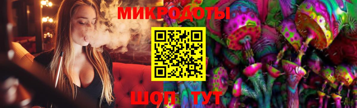 Галлюциногенные грибы Psilocybe Черногорск